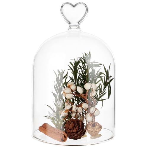 BENECREAT 3.6x5.7inch Glass Cloche, Dome Bell Jar Display Case for Plants, Figurines, Trinkets, LED Lights and Candles - size: 3.6x5.7inch