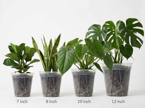 Large Clear Nursery Pot with Drainage Holes 7/8/10/12 inch,12pack | for Indoor&Outdoor Plant, monstera plant pot, monitor soil moisture and root health, semi-clear Plastic material - size: 7/8/9.5/12inch without trays