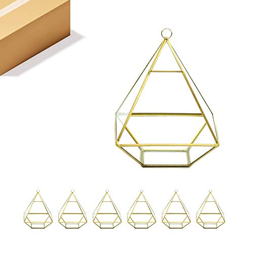 WGV Hanging Geometric Planter Terrarium Bulk Width 6" Height 8" Clear Glass Gold Frame DIY Succulent air Plant Miniature Fairy Garden Windowsill Decor Raised Pyramid 6 Pieces - color: Gold (1 Case), size: Wide Geo-Pylon