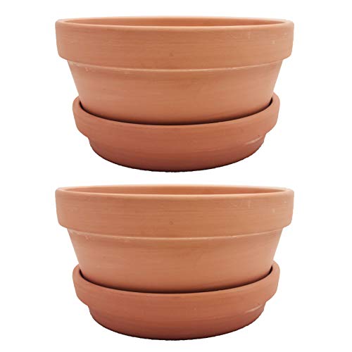 Yishang Large Terracotta Pots with Saucer/Tray for Succulent - 8 Inch Cactus Plant Containers Indoor Garden Bonsai Pots with Drainage Hole - Set of 2, Unglazed Clay Ceramic Pottery Planter - size: 8 Inches