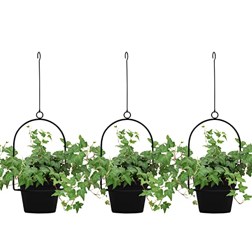Gardzen 3 Packs Hanging Pots for Plants Outdoor & Indoor, Black Hanging Planter, Pot Hangers for Plant Flower