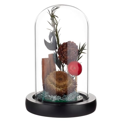 BENECREAT Glass Cloche Dome with Wood Base, 4.65x2.6inch Arch Display Dome for Plants and Collectibles, Complete Set Glass Bell Jar with Solid Wood Stand for Home Decor, Black - color: Black, size: Inner: 4.65x2.6 Inch