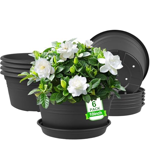 6 Pack 10 inch Plant Pot, Round Plastic Plant Pots with Drainage Holes | Outdoor Pots for Plants with Tray Saucer, Decoration Flower Pots for Indoor Plants Home Garden Outdoor Planters (Dark Gray) - color: Dark Gray, size: 10 Inch - 6Pack