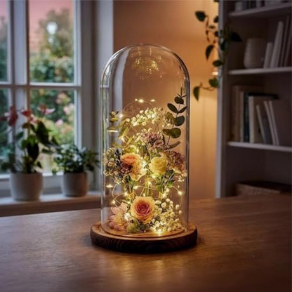 2 Pack Glass Cloche Display Dome, 10 Inch Large Decorative Glass Bell Jar, Clear Dome Showcase with Dark Brown Wooden Base, for Plants, Medals, Photos, Antique Collectibles, Mother's Day