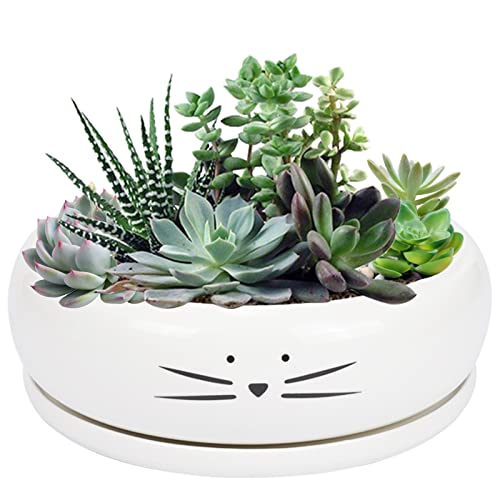 Koolkatkoo 8 Inch Large Cute Cat Ceramic Succulent Planter Pots with Removable Saucer Unique Porcelain Cactus Planters Decorative Flower Pot for Cat Lovers White - color: Black Whisker