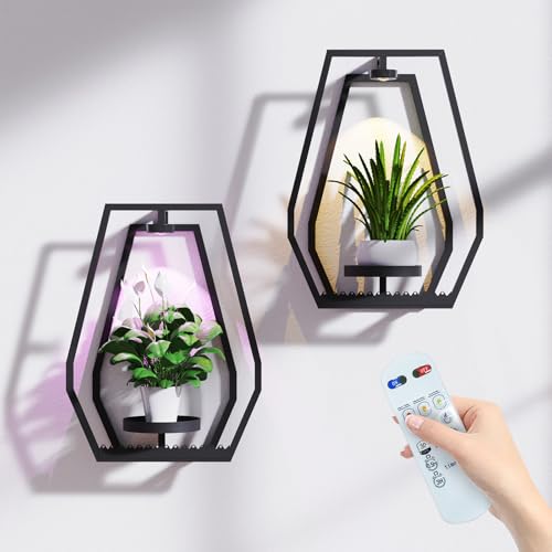 Shineled Wall Planter Stand, Modern Metal Plant Shelf with Minimalist Frame, Wall Decor for Plants, Multiple Plant Holder with Light for Home, Office - 2 Pack