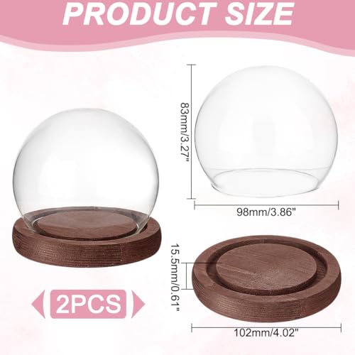 PH PandaHall 2pcs Glass Display Dome Cloche Round Dome Cover with Wooden Base Clear Glass Globe Bell Jar Display Case for Christmas Snow Globe Home Flower Plants Crafts Decor 3.8x3.2 Inch