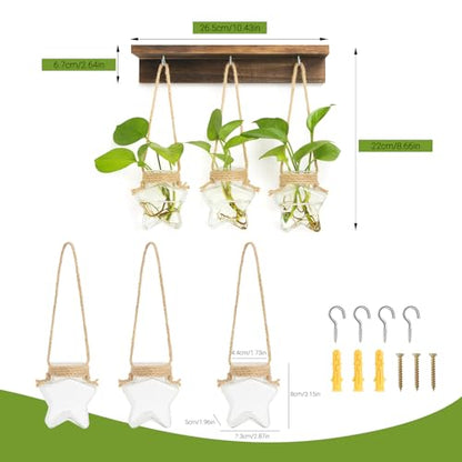 XXXFLOWER Plant Terrarium with Wooden Stand- 3 Bulb Vase+ Wall Hanging Propagation Station with 3 Star-Shaped Glass Vase