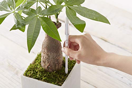 Sustee Aquameter, Set of 5, Plant Soil Moisture Sensor (White, Medium) - size: Medium