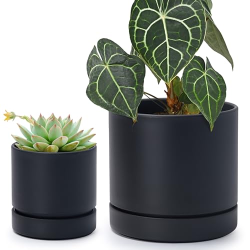 Phoenix Vine 4 Inch and 6 Inch Planter Pot with Drainage Hole & Deep Water Catch Tray Saucer, Straight Cylindrical Round Pot for Plants, Matte Black, 23-A-2-Z - color: Matte Black, size: 4+6 Inch