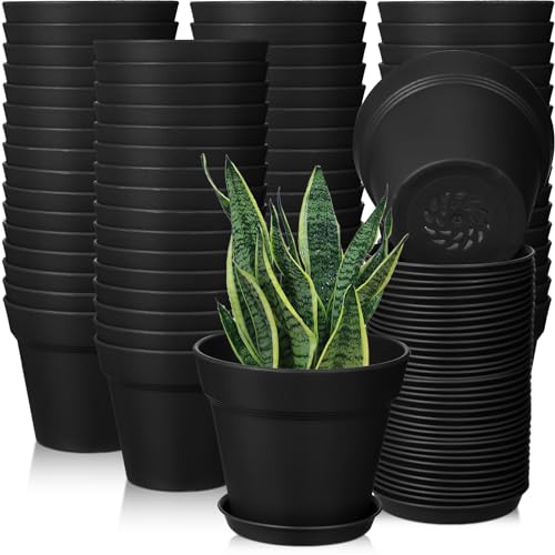 Mumufy 54 Pack 4 Inch Plant Pots Bulk Small Planter with Drainage Hole and Saucer Small Plastic Pots for Flowers Succulent Cactus and All House Indoor(Black) - color: Black