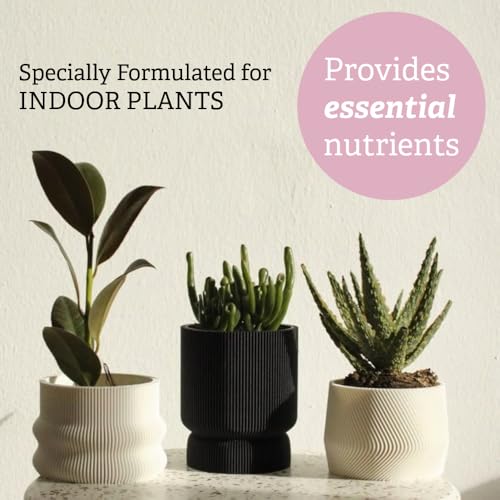Creations by Nathalie 2.2 QT Succulent & Cactus Soil Mix for Terrariums | Natural, ready-to-use soil mix with pine bark, Canadian peat & coarse sand for succulents, cactus, aloe & terrariums.