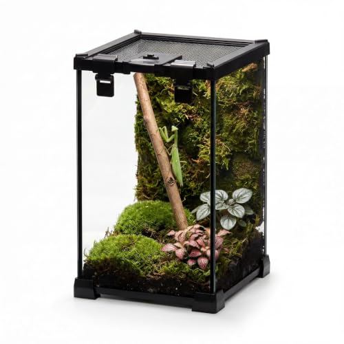 8"x8"x12" Escape-Proof Glass Terrarium, Top-Opening Vertical Vivarium for Small Arboreal Reptiles Such as Green Anoles, Full-View Tank with Escape-Proof Lock & Feeding Hatch - size: 8"D x 8"W x 12"H