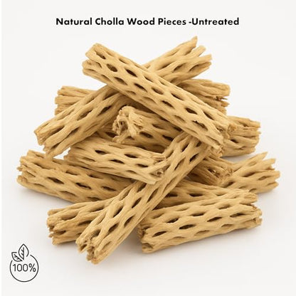 Koyal Wholesale Natural Cholla Wood Aquarium Branches, Airplants Decor, Reptile Perch, Untreated Cholla Wood Piece, Aquarium Driftwood Leopard Gecko Tank & Hermit Crab Accessories (2lb Bag) - size: 2lb Bag