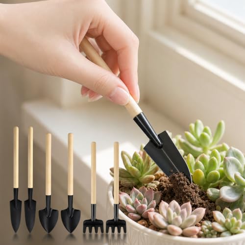 6PCS Garden Hand Tools Set Wooden Handle Mini Shovel Rake | Mini garden hand tools with wooden handles and metal heads for transplanting seedlings and cultivating soil. - color: Mini Small Size 6-Piece Set