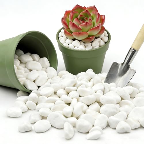 5/8 Inch Snow White Polished River Rocks,3 LB Natural Pebbles - size: 3lb, style: white