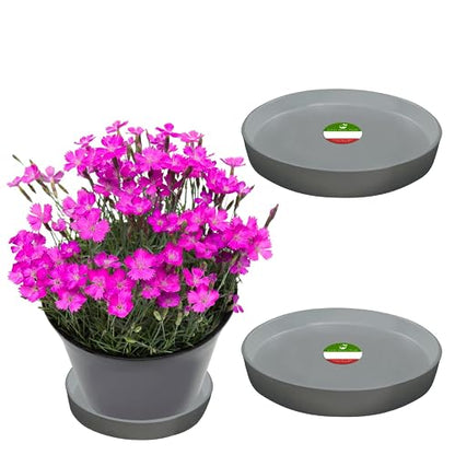 Round Composite Plant SaucerTray (2Pack) 60percent Recycled Plastics & 40percent StoneWood Powder Water Catcher Recycle at End of Life Water Flowers, Light Gray, 8In - color: Light Gray, size: 8"