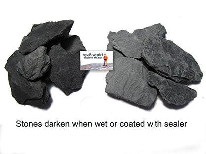 USA Natural Slate 1-3" for Aquariums, Reptiles, Terrariums, Miniatures 2 lb | Hand sorted, tumbled & washed in the US by our family-owned small business. Great in paludariums, mosaics & fairy gardens - style: 2 lbs