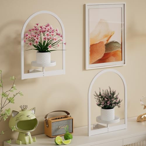 Flenpptly Wall Plant Holder, Wall Planter for Indoor Plants, 3 Pack White - size: 3 Pack-White