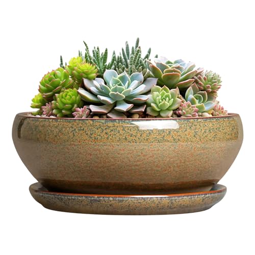 SQOWL Succulent Pots, 8 Inch Ceramic Bonsai Pots with Drainage Tray, Brown - color: Speckled-brown, size: 8 Inch