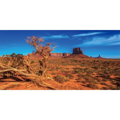 AWERT 30x18 inches Blue Sky Oasis Cactus Sun and Desert Terrarium Background Orange Reptile Habitat Background - size: 30x18in/75x45cm
