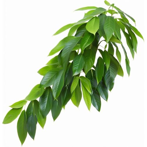 Reptile Terrarium Hanging Plant, Fake Plants for Reptile Enclosure, Ideal for Chameleon Bearded Dragon Lizard Leopard Gecko Crested Gecko Snake Tank Accessories, L=12 inches - size: Reptile Hanging Plant - B