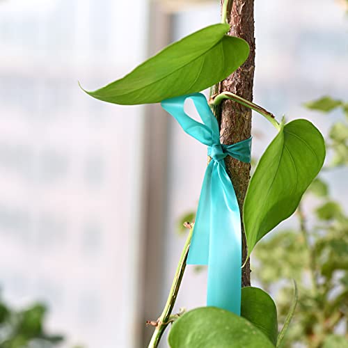 TELENT OUTDOORS 4 Rolls Stretch Tie Tape, 1” Wide 200FT Reusable Garden Plant Ties Green Tapes for Plants, Thick Garden Vinyl Stake Ribbon for Branches Flowers Tomatoes Indoor Outdoor Greenhouse - size: 800FT