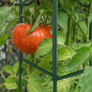 60PCS Plant Stake Arms for Tomato Cage，Expandable 11.8" Plant Supports Trellis Connector Clips for 11mm Garden Plants Stakes Stand Outdoor/Indoor - size: 60 PCS