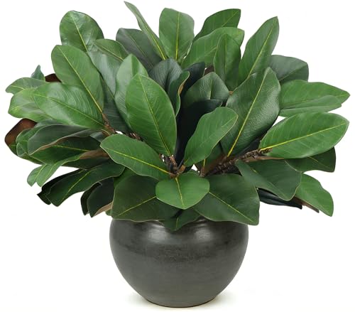 6 PCS 22" Magnolia Leaves Artificial Greenery Stems - color: 6pcs Magnolia Leaves