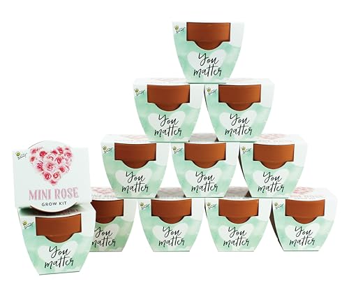 BUZZY Seeds Rose Grow Kit 12-Pack, Mini Terracotta Pots, Love Collection - color: Mini Rose