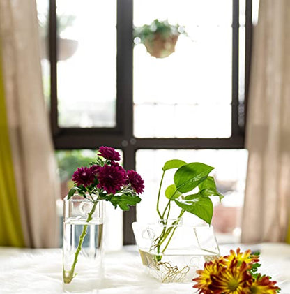 Kingbuy Wall Hanging Glass Planter Flower Vase Plant Propagation Station for Hydroponic Plants Home Office Garden Decor - 2 Egg Shape Plant Terrarium and 4 Square Shape Vase