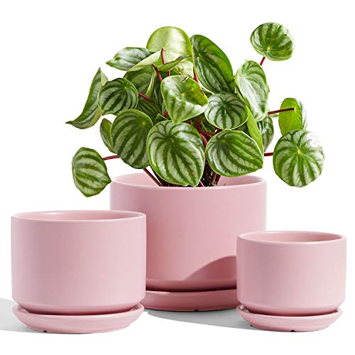 LE TAUCI Ceramic Plant Pots, 4.3+5.3+6.8 inch, Set of 3, Planters with Drainage Hole and Saucer, Indoor Flower Pot with Hole Mesh Pad, Gifts for Mom, Pink - color: Pink