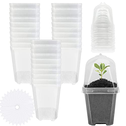 EBaokuup 30PCS Clear Plant Nursery Pots with Humidity Dome - 3" Durable Plastic Gardening Pot, Small Plant Container for Seedlings/Vegetables/Succulents/Cuttings | Plastic Plant Container with Labels, Reusable Gardening Containers Cups for Seedlings Veget
