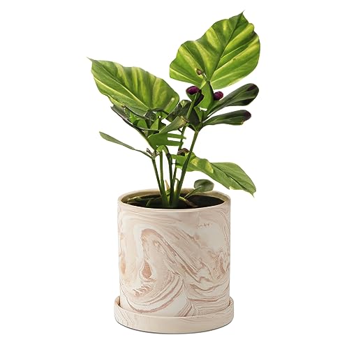 4 inch Plant Pot - Terra Cotta Flower Planters Indoor - Modern Succulents Containers with Drain Hole & Saucer, Decorate Home, Office (Pink) - size: 4 inch