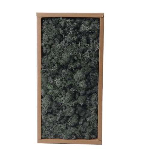 Preserved Reindeer Craft Moss - 17.6oz Natural Green DIY Kit for Terrariums, Wall Art & Decor - color: BOTTLE GREEN, size: 1.1LB