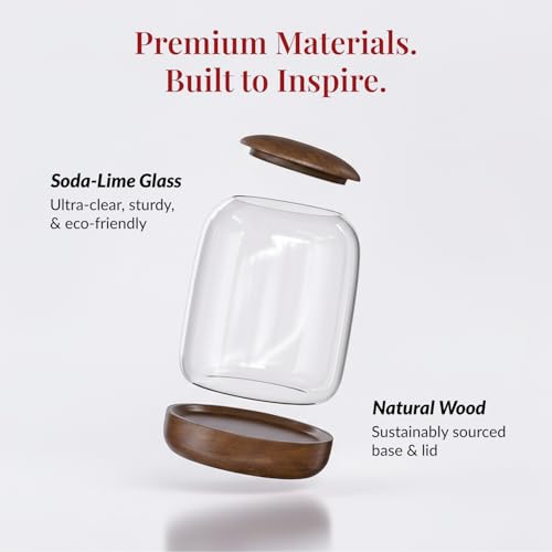 Exclusive Glass Terrarium with Natural Wood Lid and Base, Excellent for Plants and Decoration for Home or Office, Size: 8.7" Tall (22 cm) by 6.3" Wide (16 cm)