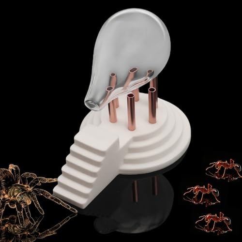Spider Ant Water Feeder, Creative Altar Shape 3D Printed Waterer with Glass Drip Bottle, Safe Drinking Bowl for Tarantula, Ant, Small Insect Reptile Terrarium (White)