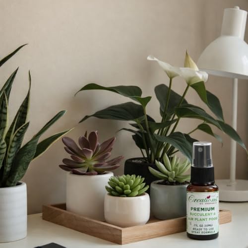 Creations by Nathalie 2.2 QT Succulent & Cactus Soil Mix for Terrariums | Natural, ready-to-use soil mix with pine bark, Canadian peat & coarse sand for succulents, cactus, aloe & terrariums.