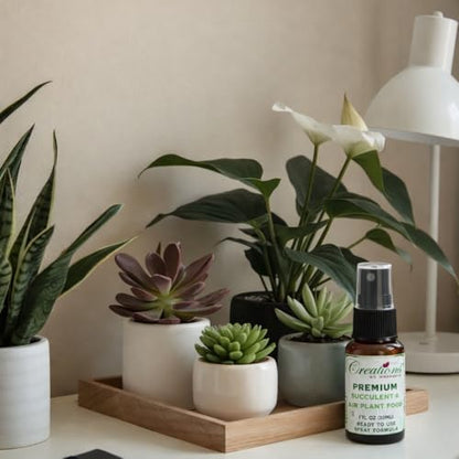Creations by Nathalie 2.2 QT Succulent & Cactus Soil Mix for Terrariums | Natural, ready-to-use soil mix with pine bark, Canadian peat & coarse sand for succulents, cactus, aloe & terrariums.