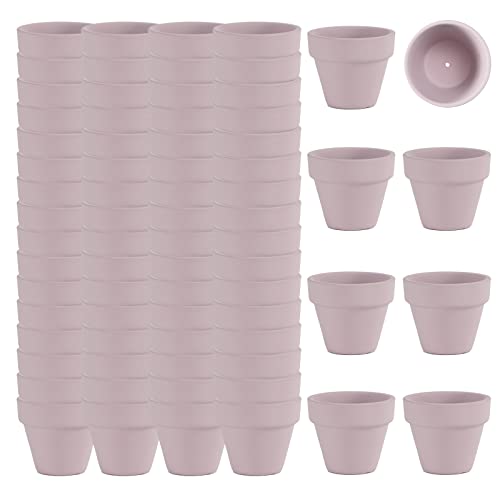 2 Inch Pink Terracotta Pots Pack of 72 - Mini Clay Pot with Drainage Hole for Tiny Cactus Herb lithop, Small Succulent Planter Nursery Plant Pot for Windowsill, Cactus Plant, Crafts, Wedding Favors - color: Pink