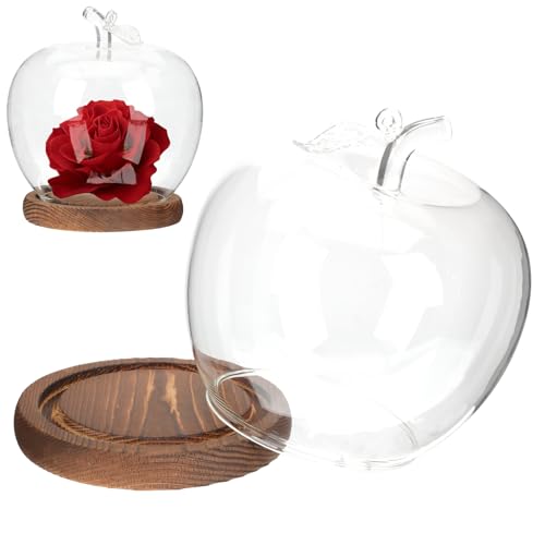 Ipetboom Glass Dome with Base - Creative Display Apple Cover Transparent Protective Cloche for Home Decor Doll Clay Crafts Collectibles and Decorative Items - 6.29x5.31x5.31in