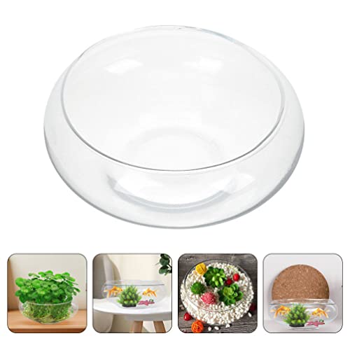 10 Inch Glass Bowl for Plants - Lotus Planter & Clear Terrarium, Large Round Vase for Table Centerpiece, Shallow Bowl for Goldfish & Betta, Decorative Glass Hydroponic Plant Pot 25cm - size: 25x25cm