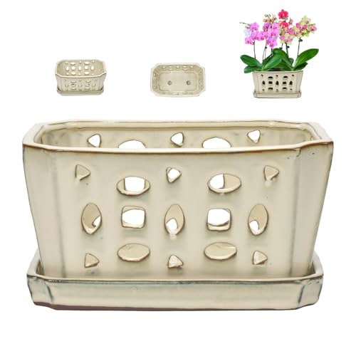 W&W Orchid Pot with Holes and Saucer for Repotting, Cream White, 9.7 Inch - color: Cream White 9.7", size: 9.7"