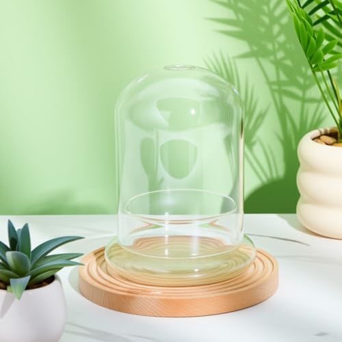 2 Pcs 4.7 x 6.3 Inch Glass Terrarium Dome Cloche with Air Hole & Glass Base, Clear Terrarium Containers Ventilated Plant Humidity Dome for Carnivorous Plants Orchids Tropical Cuttings, No Leakage - size: 4.7 x 6.3 Inch