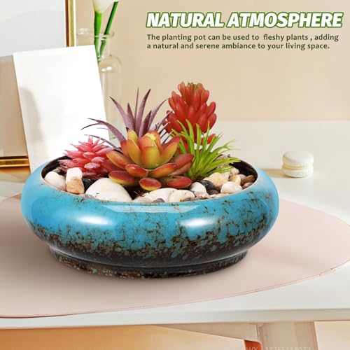 Toddmomy Lotus Flower Bowl Planter 6.88 Inch Round Shallow Ceramic Pot with Drainage Hole for Succulents Cacti Bonsai Indoor Plants Home Office Decor - size: 1pc