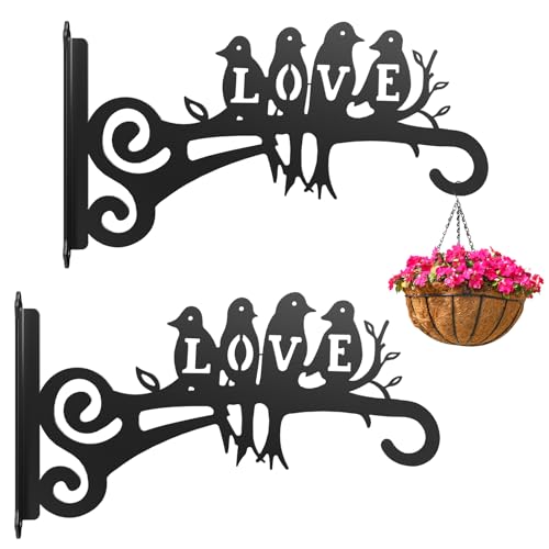 2-Pack Aesthetic Plant Hangers Outdoor and Indoor – 10 Inch Metal Hanging Plant Bracket with Beautiful Bird Pattern – Anti Rust Plant Hooks for Hanging Baskets, Bird Feeder, Windchime, Lantern