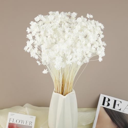 300 PCS Dried Flowers Brazilian White Small Starflower Flowers Mini Dried Flower Bouquet Daisies Mini Chamomile Flower Bouquet for Flower Arrangement Wedding (Snow-White) - color: Snow-white