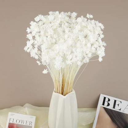 300 PCS Dried Flowers Brazilian White Small Starflower Flowers Mini Dried Flower Bouquet Daisies Mini Chamomile Flower Bouquet for Flower Arrangement Wedding (Snow-White) - color: Snow-white