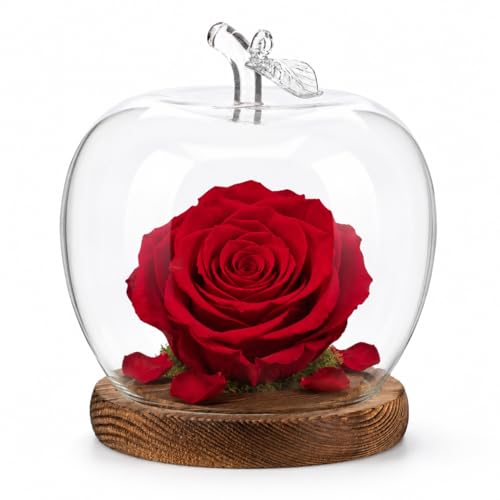 Ipetboom Glass Cloche Dome with Wood Base, Rustic Bell Jar for Preserved Flower Crafts, Clear Display Case with Dust Protection for Desktop Collectibles, Action Figures, 1 Pack
