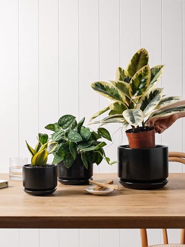 LE TAUCI Ceramic Plant Pots, 4.3+5.3+6.8 inch, Set of 3, Planters with Drainage Hole and Saucer, Indoor Flower Pot with Hole Mesh Pad, Gifts for Mom, Black - color: Black
